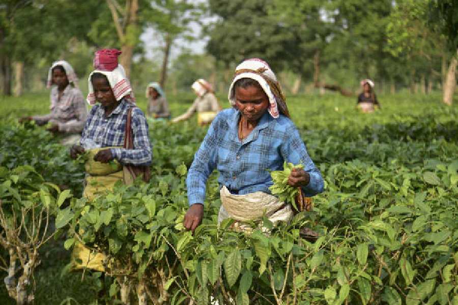 Representational picture