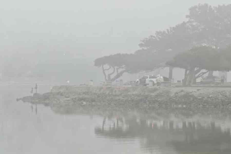 Even without the usual Hasselblad partnership, the camera setup offers sharp and bright photographs