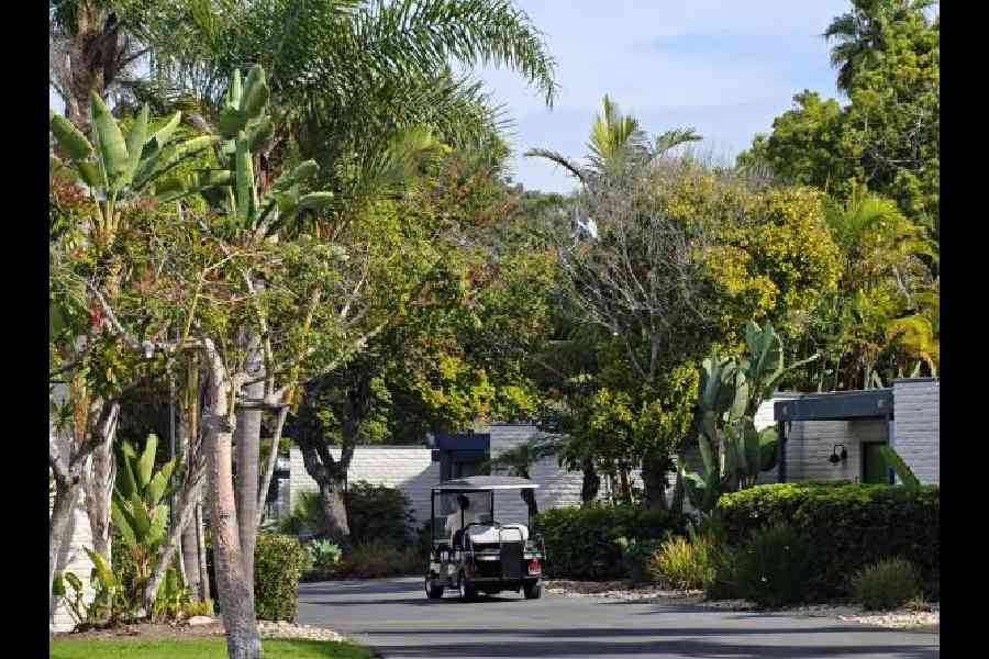 Colours are slightly punchy but mostly free of noise