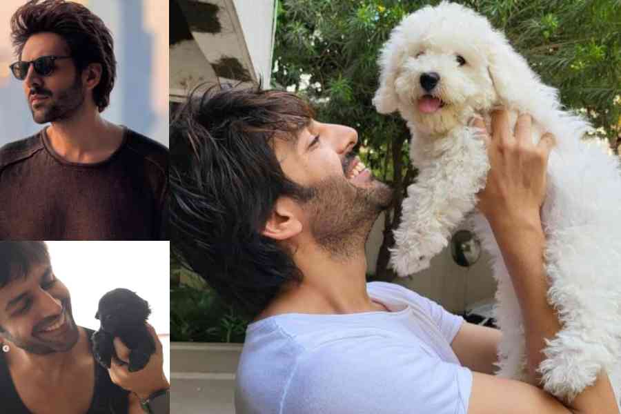 Kartik Aaryan and his pets