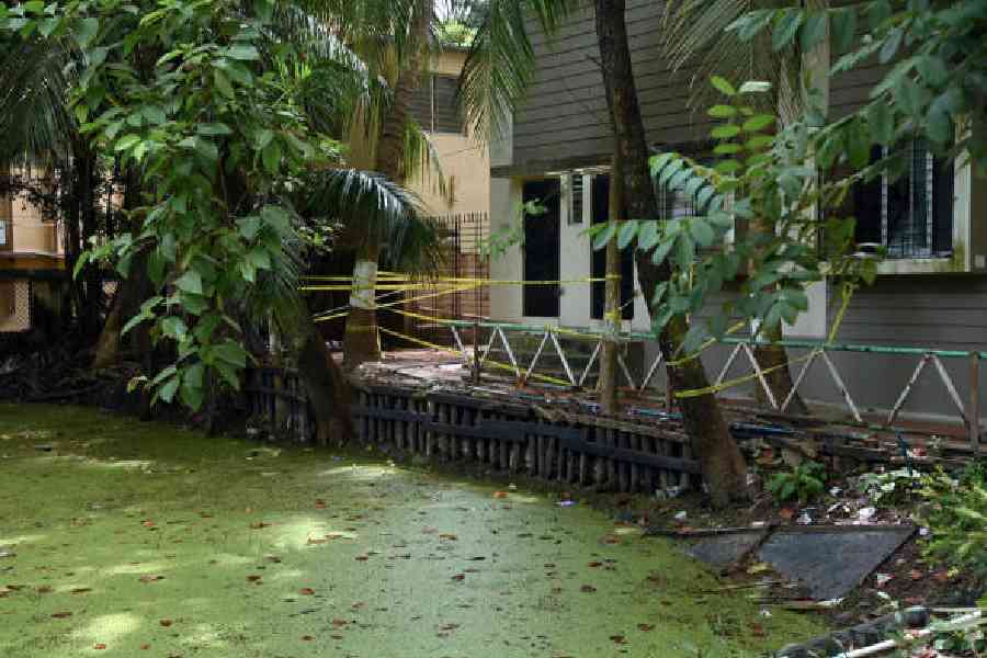 A water body on the Jadavpur University campus. File picture