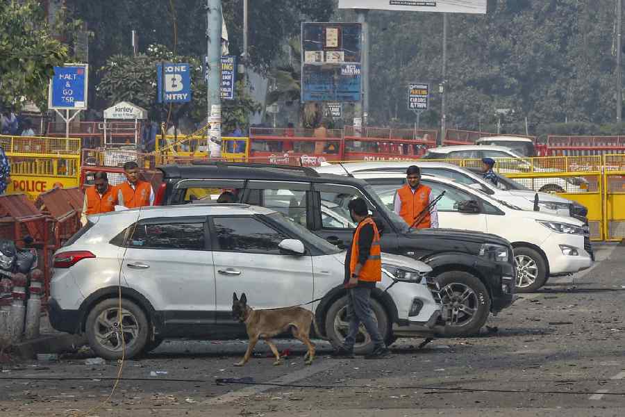 Security personnel conduct investigation in the aftermath of a car blast near Red Fort, in New Delhi, Thursday, Nov. 13, 2025.