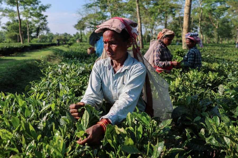 Representational image