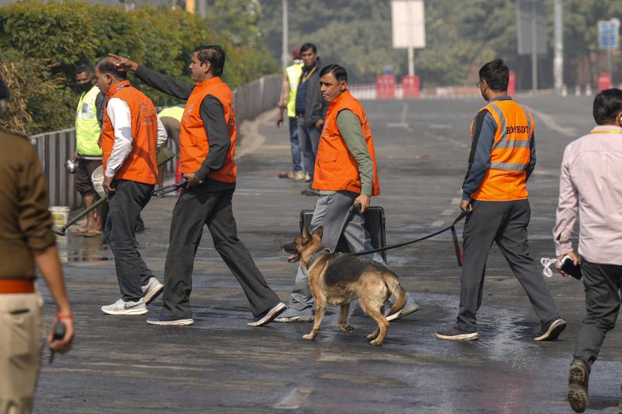 Security personnel with a sniffer dog conduct inspection in the aftermath of a car blast, near Red Fort, in New Delhi, Saturday, Nov. 15, 2025.