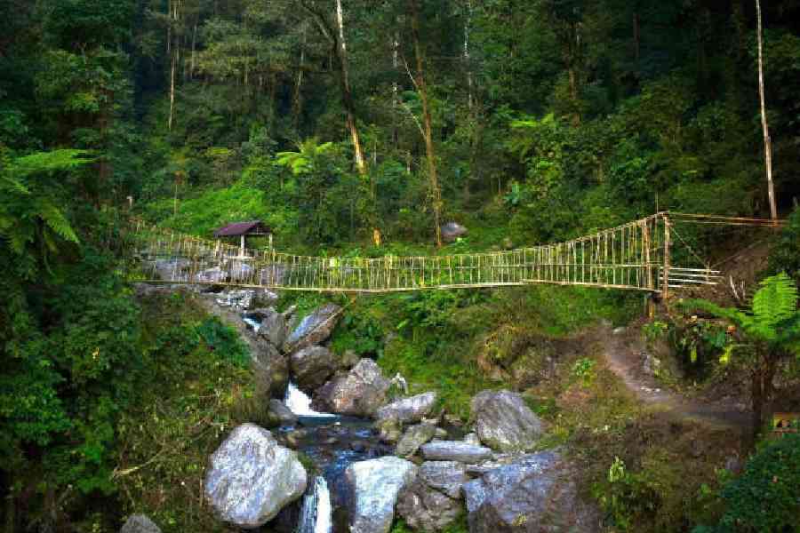 Ru-Soam or the Lepcha cane bridge at Lower Dzongo in Sikkim on Saturday. Pictures courtesy: Sikkim government