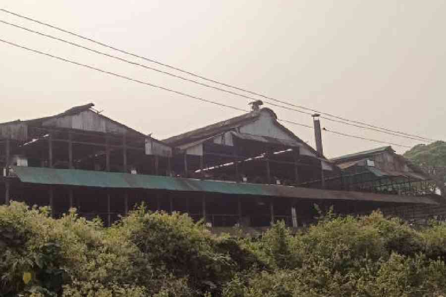 The factory of the Dalshingpara tea garden, that has been closed since October 2023. File picture