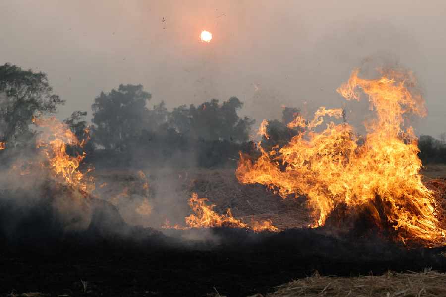 Smoke and flames rise from the burning stubble in a crop field, amid the ongoing air pollution, at Mansa in the northern state of Punjab, India
