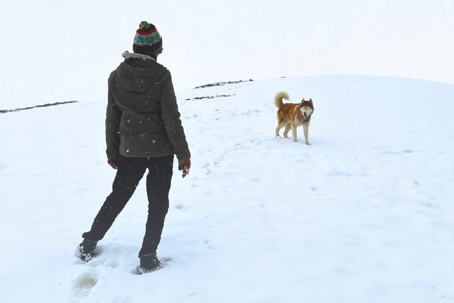 A poster of ‘Oslo: A Tail of Promise’