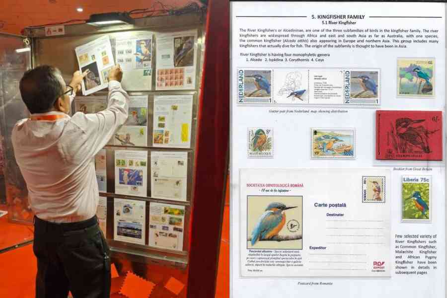 Exhibitor Ayushman Sinha’s father Rajesh Kumar Sinha busy removing the rest of his collection on Monday, the last day of Bongopex. The stolen page was in the adjacent frame. The photo of the page from Ayushman Singh's collection was taken before the theft of one of the items on it