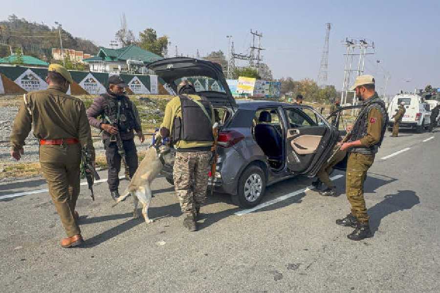 Security personnel search a vehicle in Kulgam on November 11.