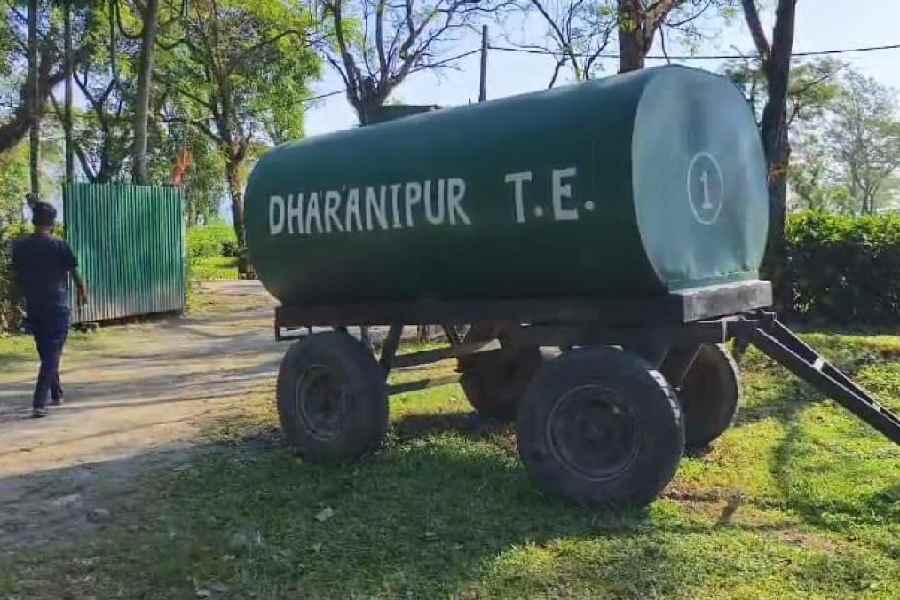 The Dharanipur tea estate in Banarhat block of Jalpaiguri, which reopened on Monday.