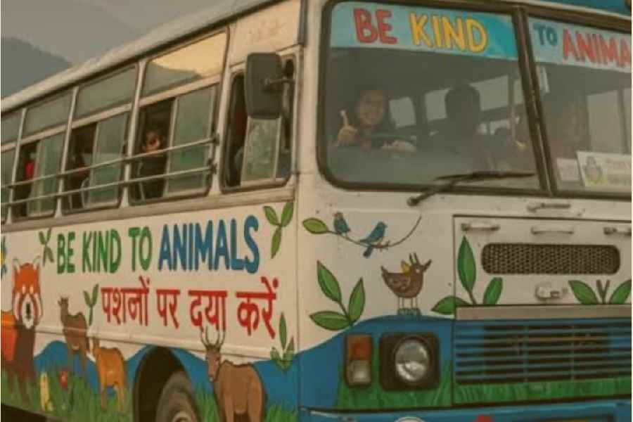 Sikkim with its public transport vehicles, sporting messages and endearing illustrations about being kind to animals, has emerged as a leader in compassionate fauna management.