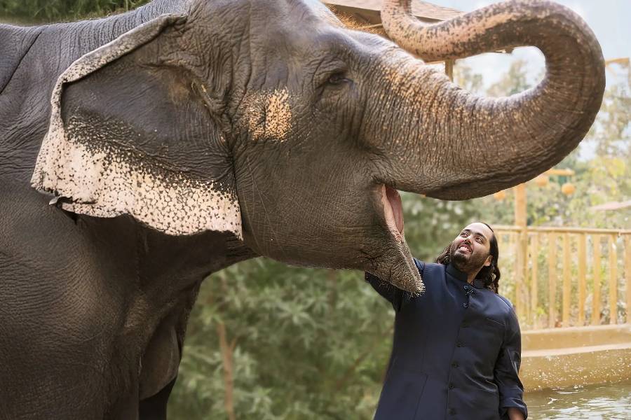 Anant Ambani at Vantara