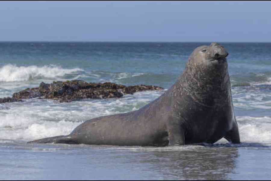 istock.com/liz leyden