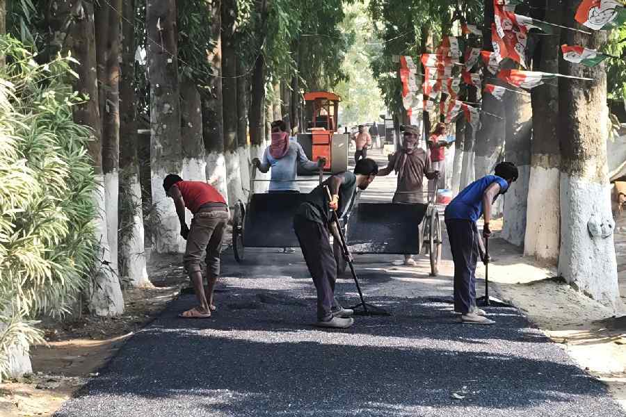 Labourers repair the damaged stretches of Jessore Road at Chandpara on Monday, from where chief minister Mamata Banerjee will start the 2km-long march towards Thakurnagar on Tuesday to protest against the SIR