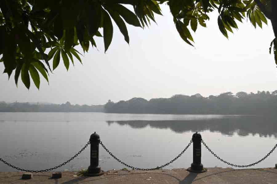 A blanket of fog over Subhas Sarobar on Thursday morning. Picture by Sanat Kr Sinha