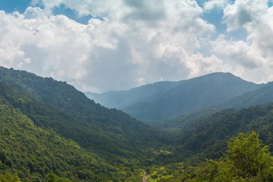 The Neora Valley National Park in Kalimpong district.