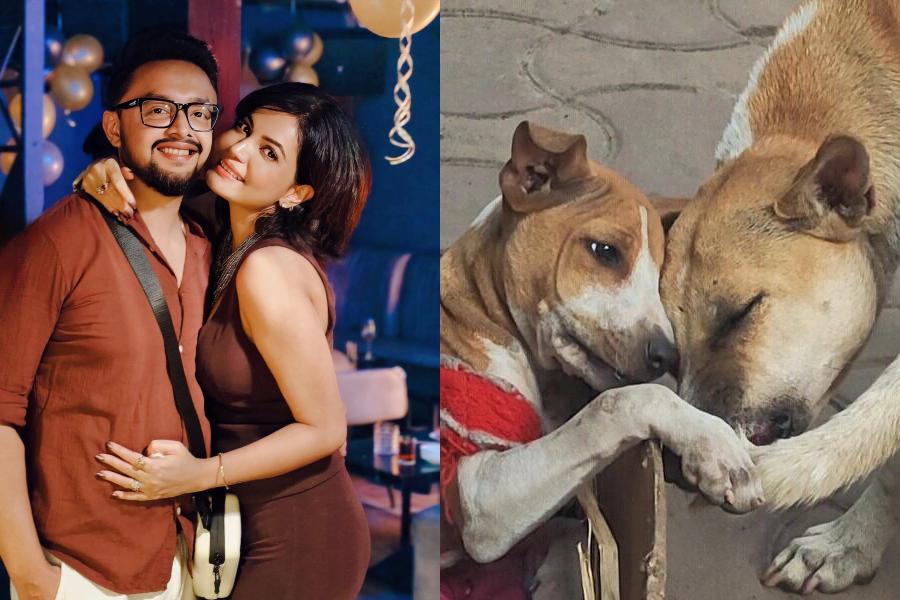 (L-R) Sayantani and Indranil Mullick; Street dogs