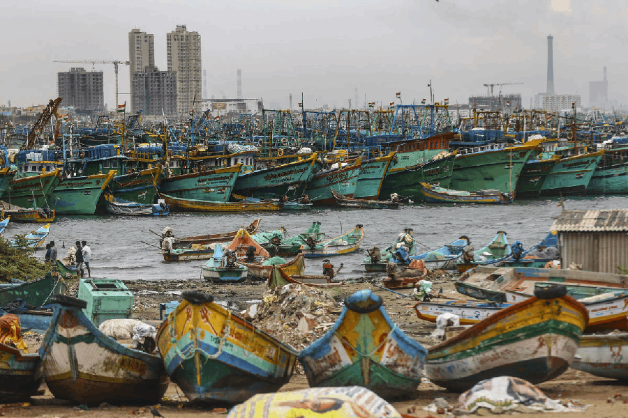 Boats moored at the shore amid gusty winds in view of Cyclone 'Ditwah', at Kasimedu fishing harbour, in Chennai, Saturday, Nov. 29, 2025.