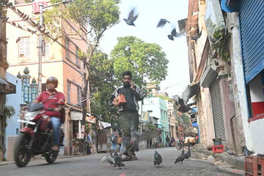 Hari Ghosh Street.