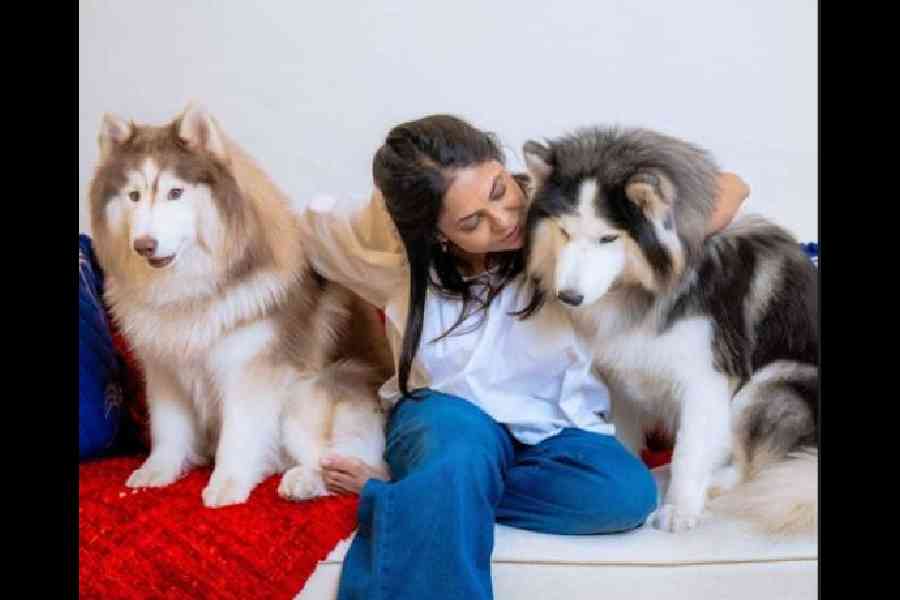 With her dogs Ash and Simba