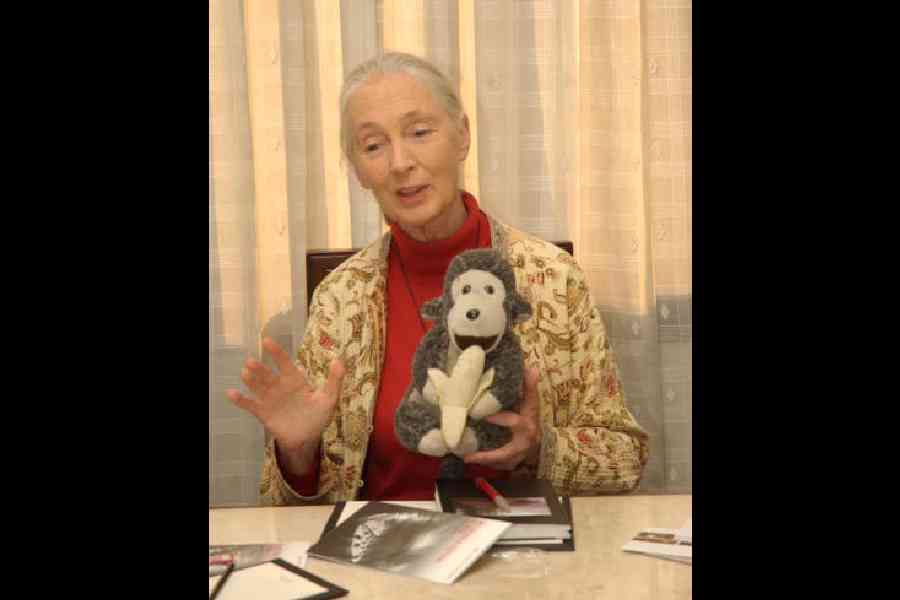 Jane Goodall, a British anthropologist at a programme in Calcutta