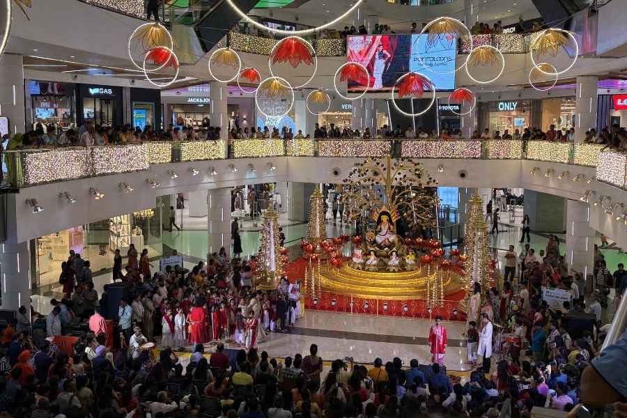 A packed South City Mall