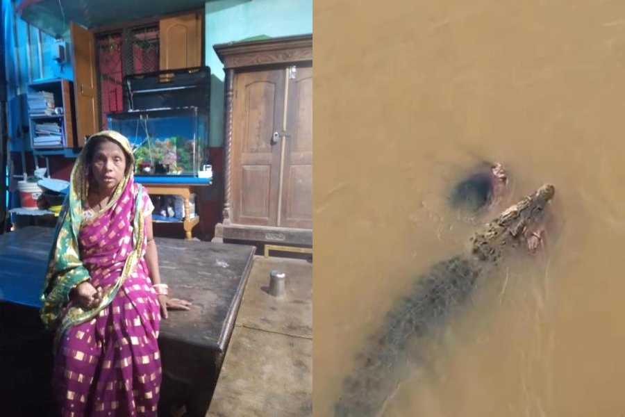 Soudamini Mahal (left) and a grab from the video shows the crocodile dragging away Soudamini Mahal through the Kharasrota on Monday