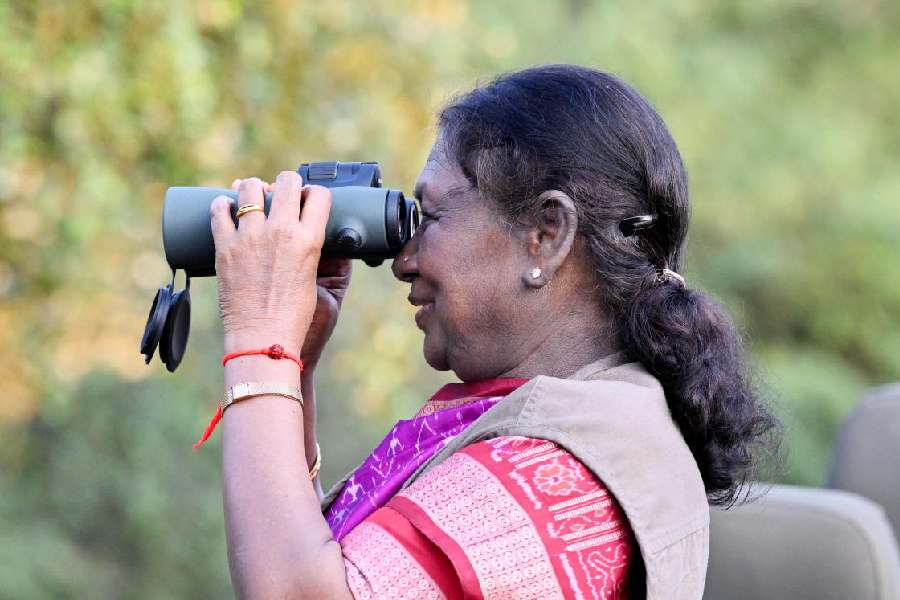 President Droupadi Murmu visits Gir National Park