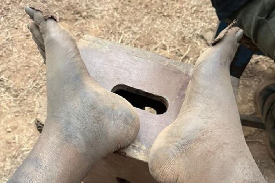 Rishab Shetty on the sets of ‘Kantara: Chapter 1’ climax shoot