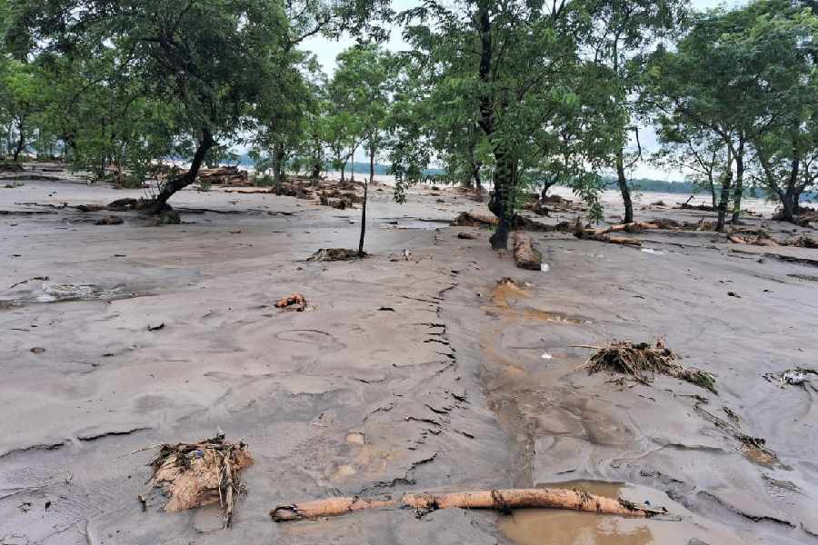 Dolomite deposits in the silt at the Subhashini Tea Garden of Alipurduar as the Torsha floodwaters recede from the garden.