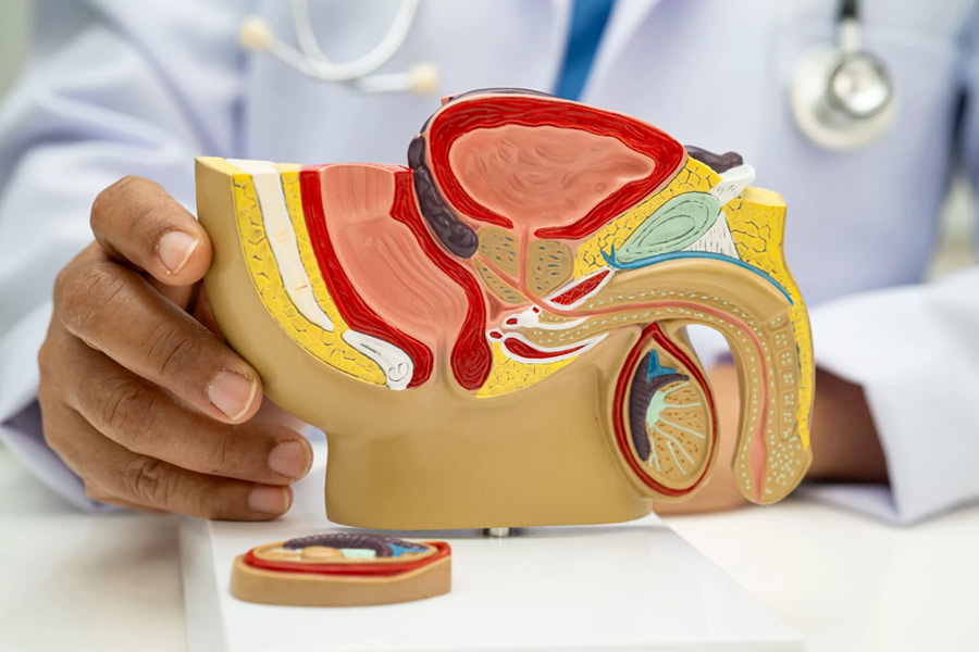 Patients diagnosed with prostate cancer can continue to lead a healthy life with proper treatment