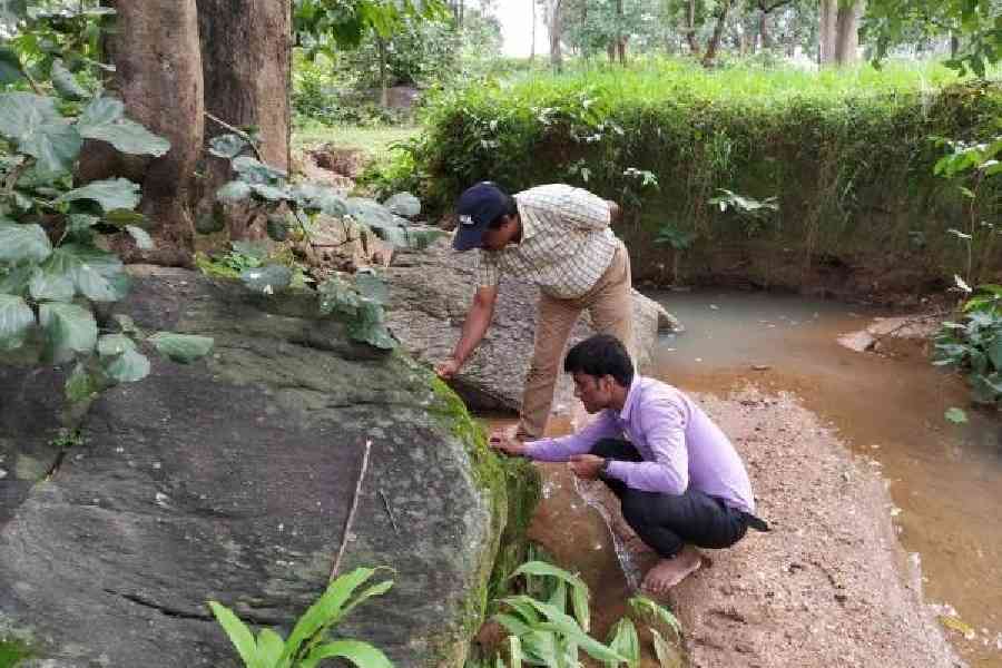 Amal Kumar Mondal, head of the department of botany and forestry, plant taxonomy and molecular taxonomy laboratory, Vidyasagar University (standing), and research scholar Sk. Rasidul Islam at Ajodhya Hills