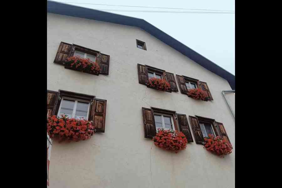 The frontage of most homes in LAAX and its vicinity are dotted with seasonal blooms