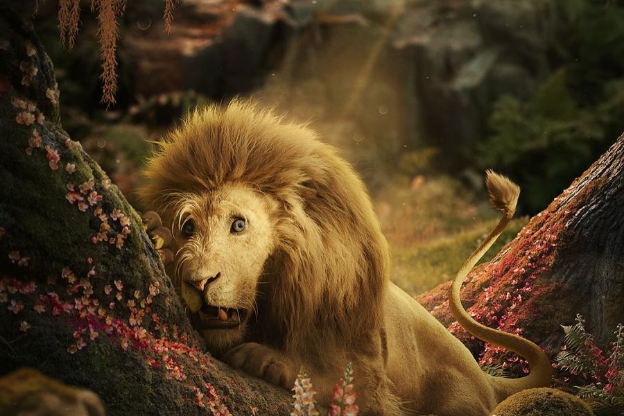 A poster of Cowardly Lion from 'Wicked: For Good'