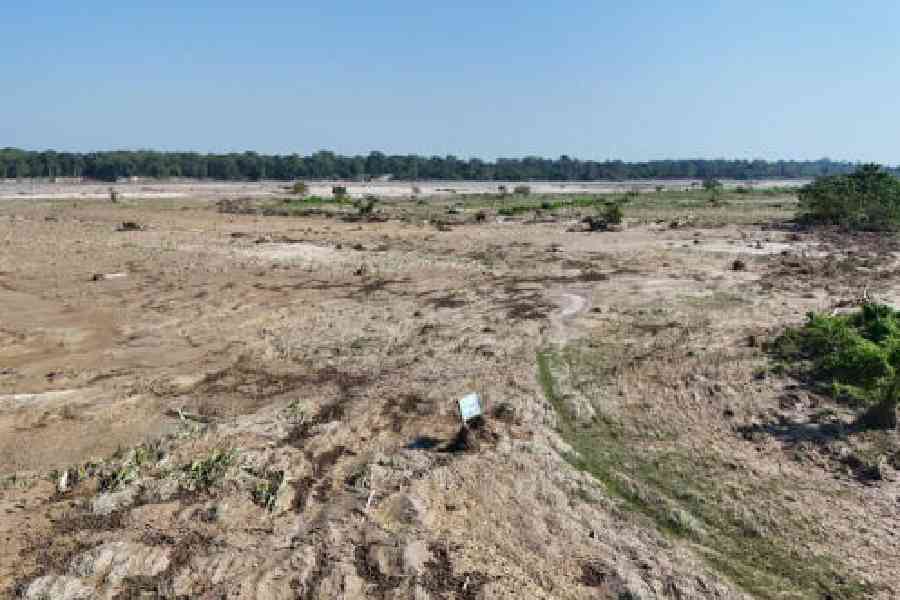 A stretch of the grassland at the Jaldapara National Park after the flash flood on October 5. Picture courtesy: Bengal forest department