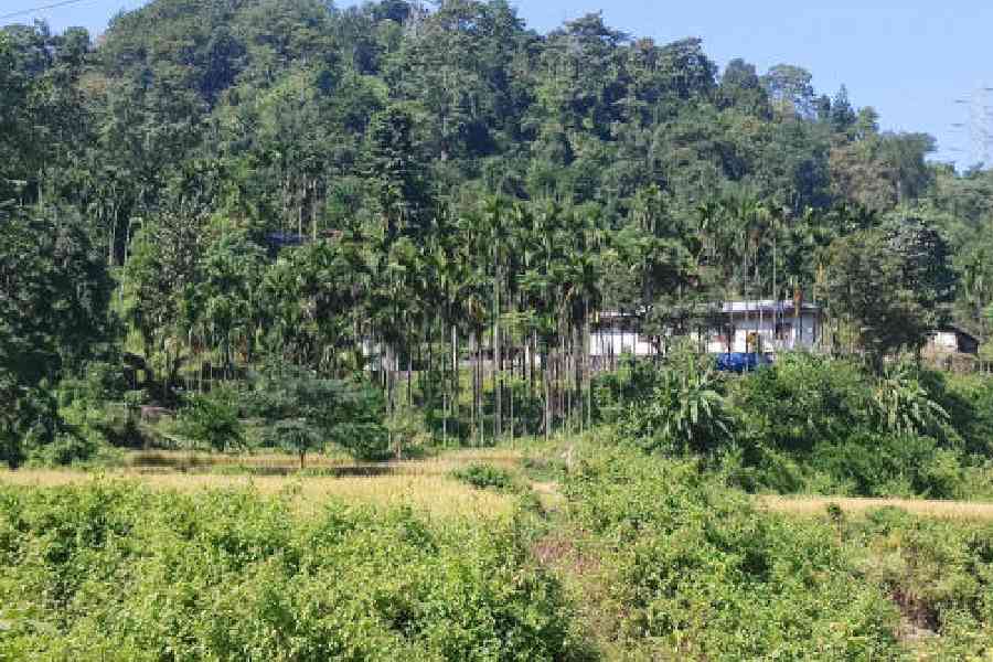 A forest village in Jalpaiguri district where some Rava families stay. File picture