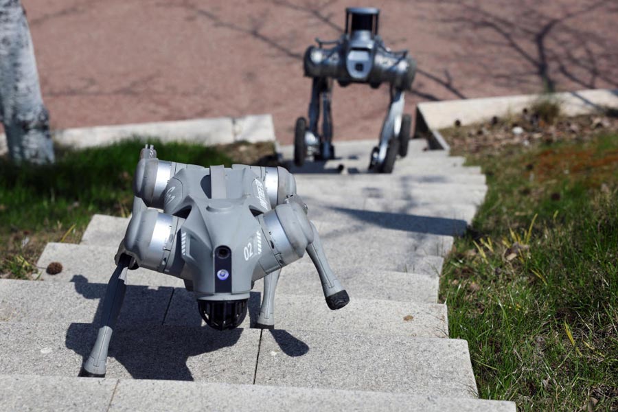 FILE PHOTO: Unitree robot dogs in Hangzhou