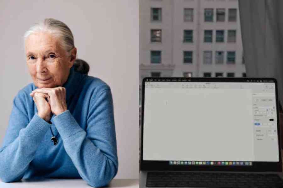 British primatologist, ethologist, and anthropologist Jane Goodall. Apple's 'Great ideas start on Mac' film