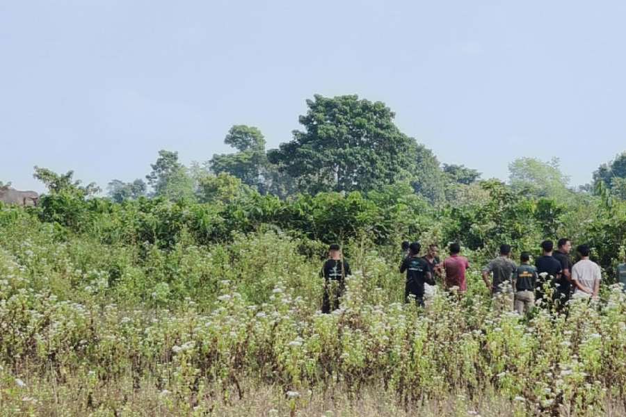 Locals assemble near the sick elephant (partially visible in the bushes) beside the Chel river in Malbazar subdivision of Jalpaiguri on Monday.