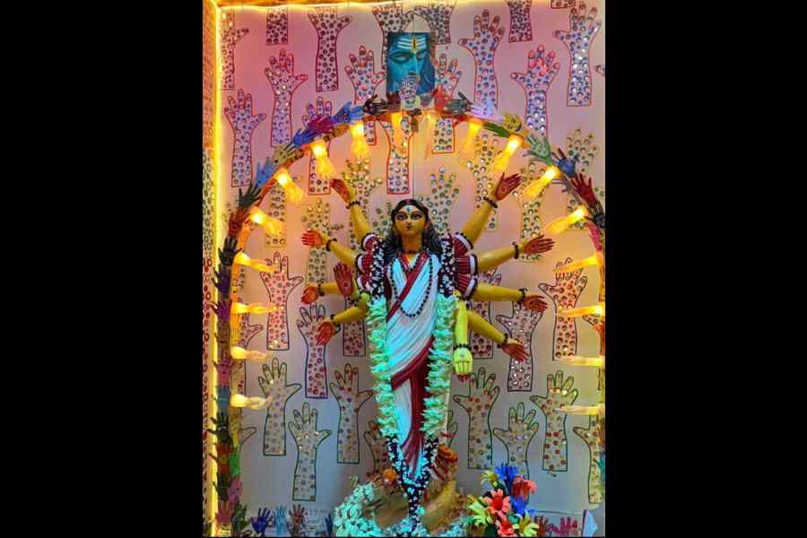 DPS Megacity Durga Puja celebration