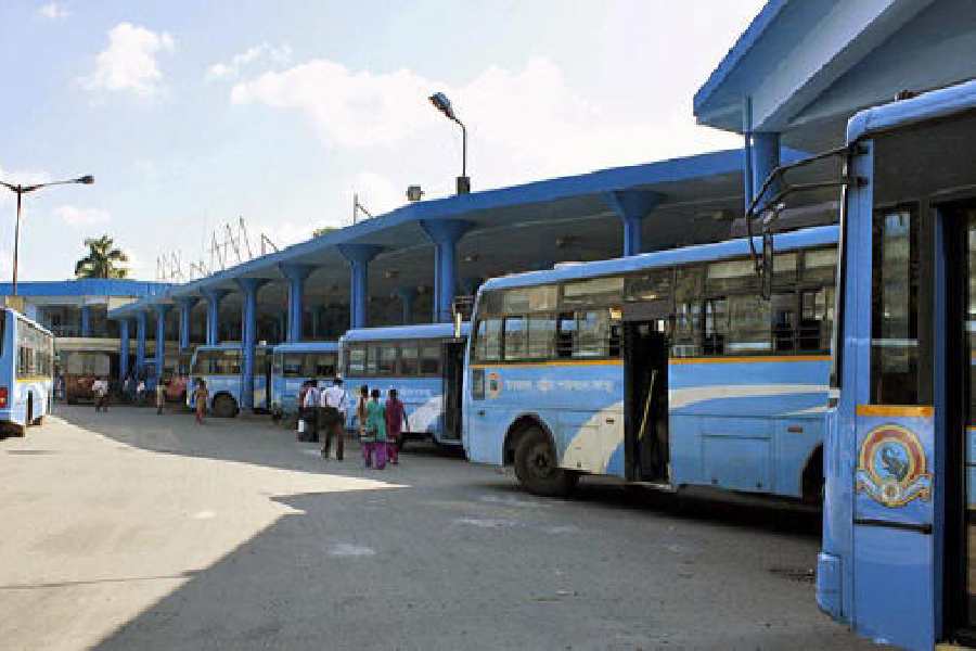 NBSTC buses at the Tenzing Norgay Central Bus Terminus in Siliguri. 