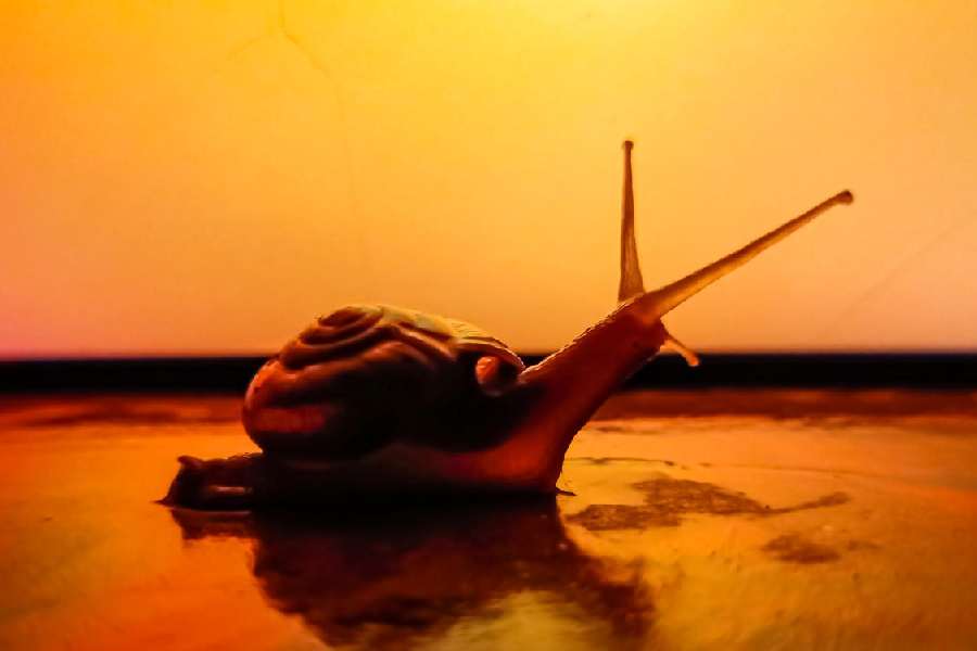 Representational image