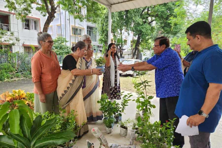 One of the members, Uma Mukherjee, was as eager to see the lawn as she was to take home plants.
