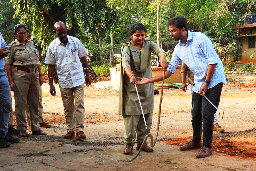 A snake-rescue training programme underway in the Sunderbans (picture courtesy: Gnaneswar C)