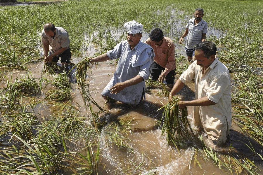 Representational image