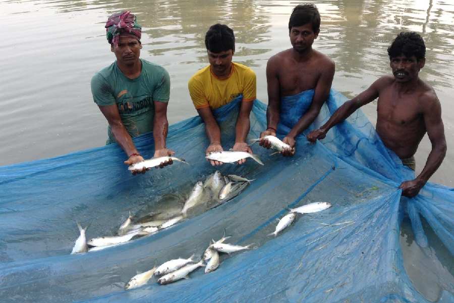 Fishermen at the Kakdwip research centre