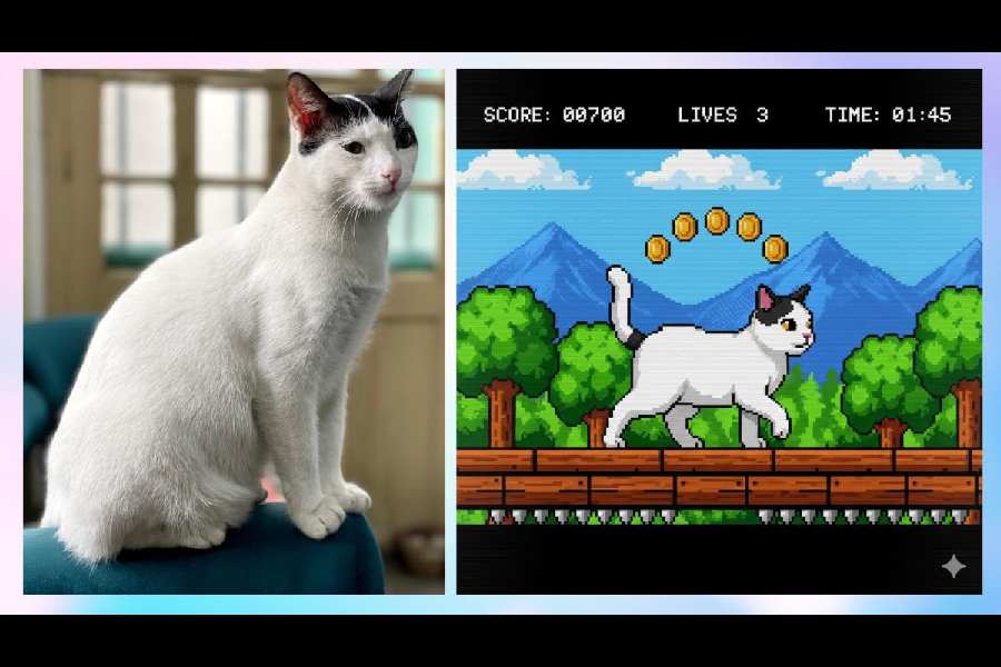 Prompt: Recreate this cat as a 16-bit video game character, and place the character in a level of a 2D 16-bit platform video game.