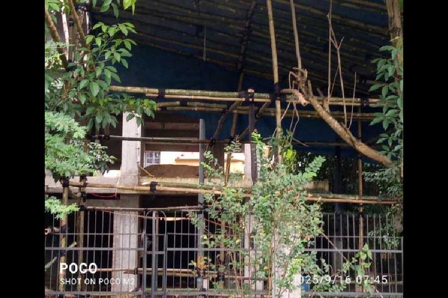 The pandel now being created in the dead-end.