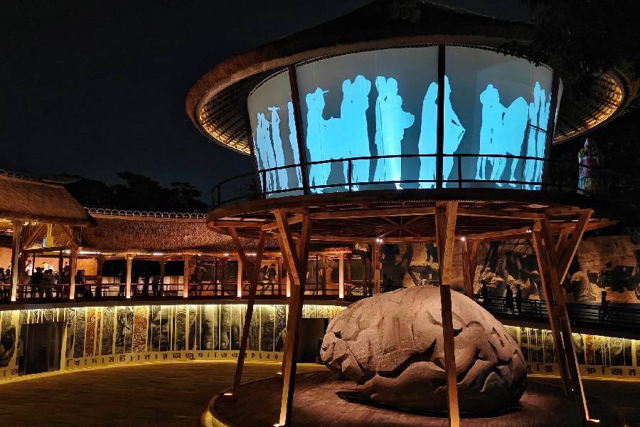 The theme for Tala Prottoy's Durga Puja pandal this year is 'A seed courtyard'